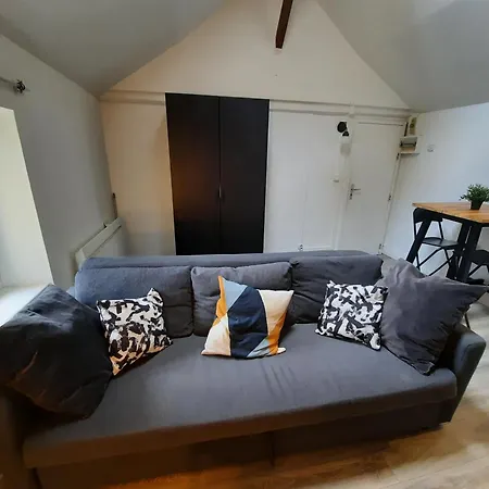 Le Perdrix : Apt 2 Prs, Proche Gare Et Darcy Dijon Room photo