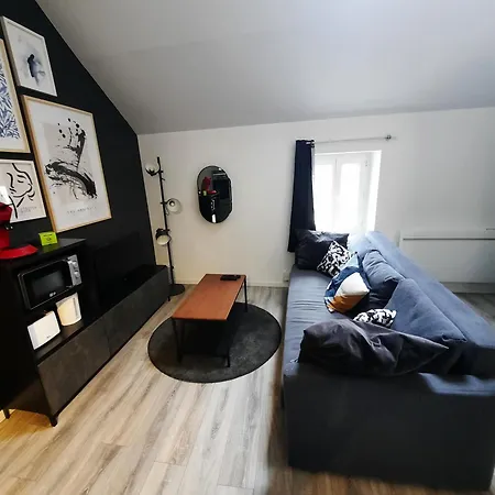 Le Perdrix : Apt 2 Prs, Proche Gare Et Darcy Dijon Room photo
