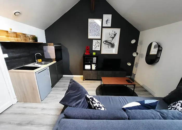 Le Perdrix : Apt 2 Prs, Proche Gare Et Darcy